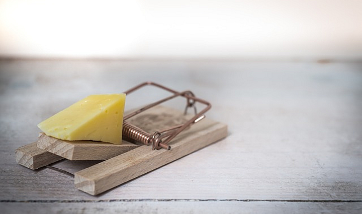 Gespanne Mausefalle mit einem Stück Käse